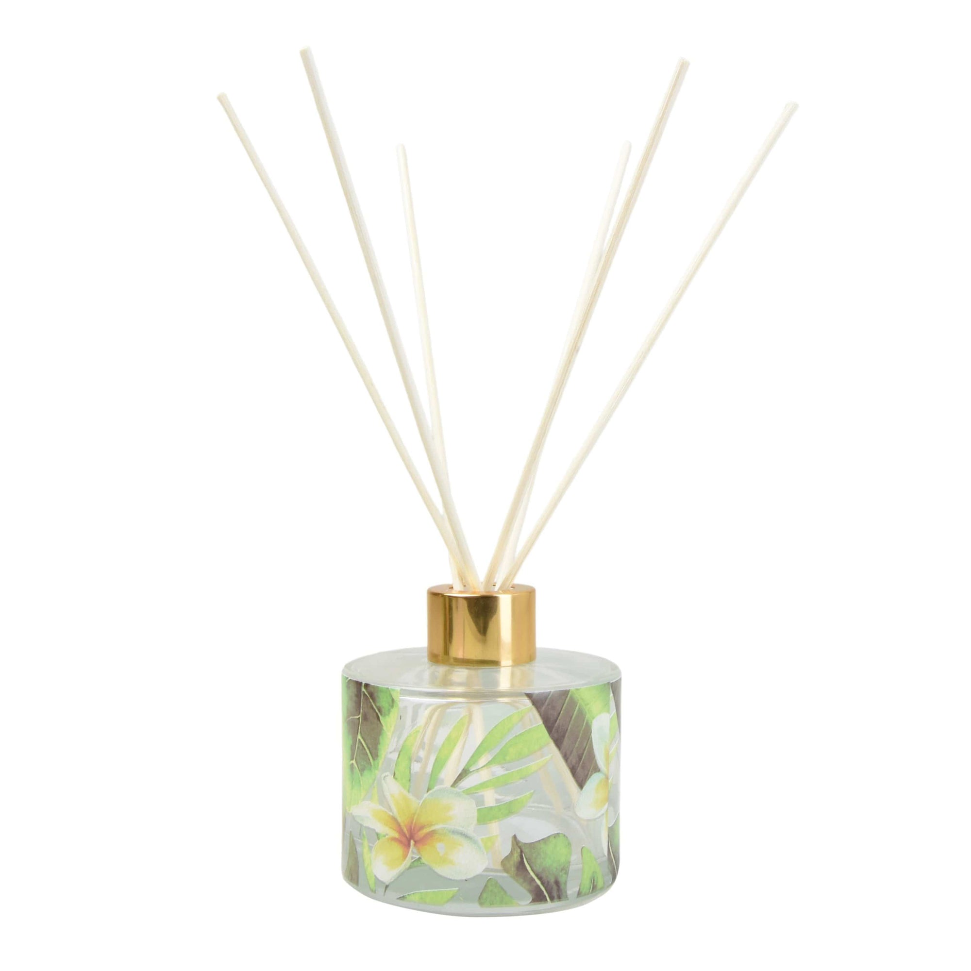 Bali Whirl Reed Diffuser in Gift Box Sea Salt Scent 150ml 6PK ...