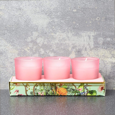 Candlelight Chinoiserie Set of 3 Wax Filled Candle Pots Aromatic Shea Scent 50g 6PK