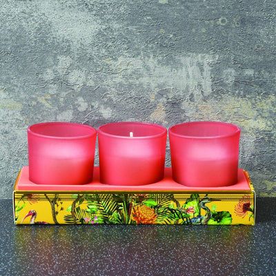 Candlelight Chinoiserie Set of 3 Wax Filled Candle Pots Oriental Lily Scent 50g 6PK
