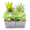 Candlelight Home Set of 4 Assorted Succulents in Square Pot- Grey 1PK